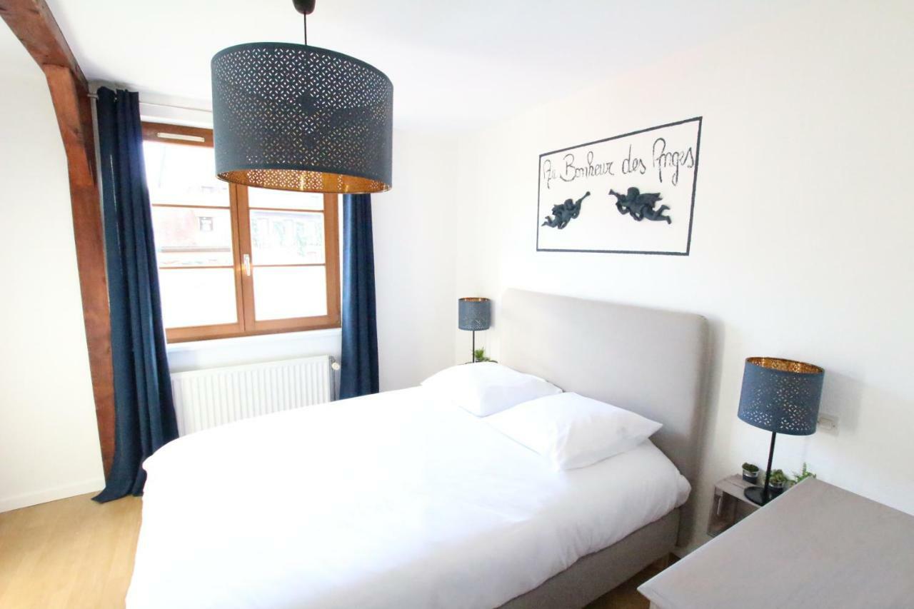 Au Bonheur Des Anges Appartement 2 Chambres Avec Terrasse Colmar Dış mekan fotoğraf